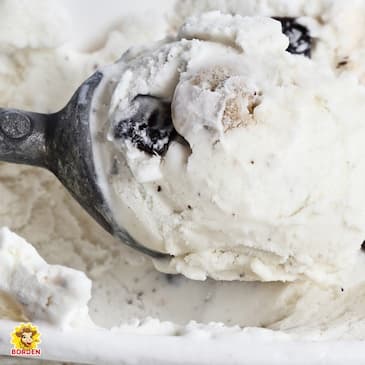 Elsie's Easy Ice Cream