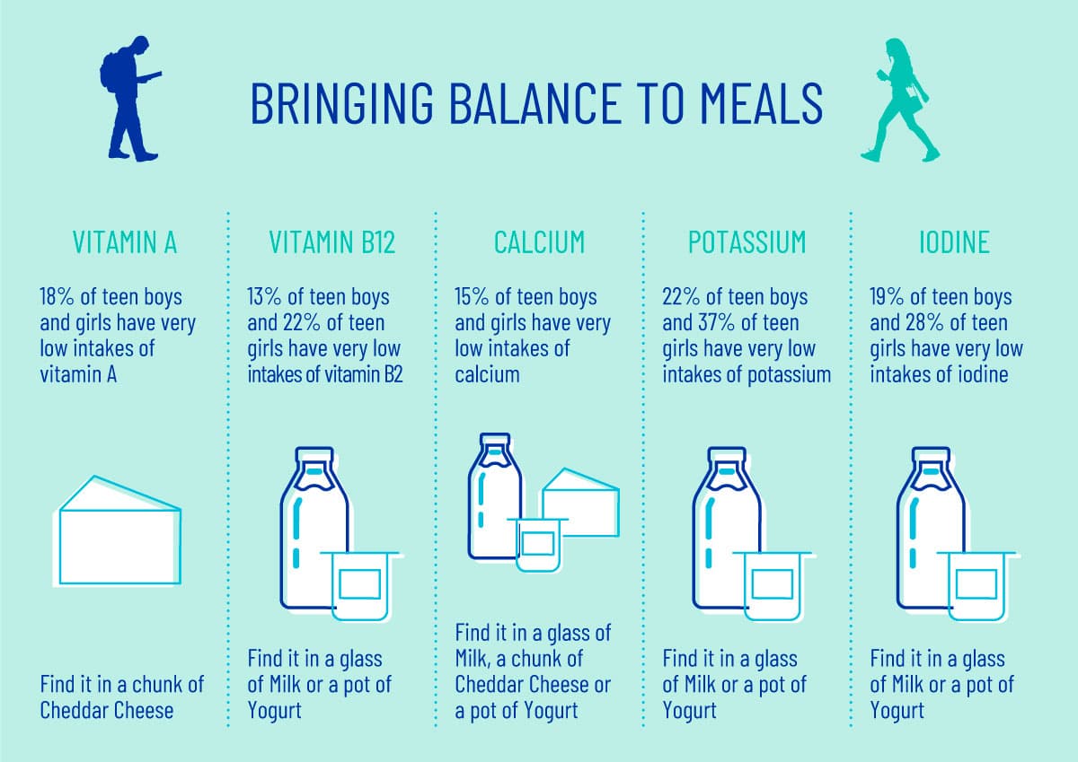 Milk Nutrition Infographic